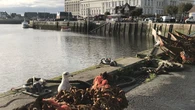 "On est heureux de profiter du grand air" : avec la fin des restrictions de déplacement, Trouville en Normandie fait le plein
