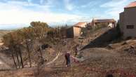 Incendie dans l'Aude : des habitations touchées à Narbonne