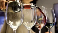 Bordeaux : entre le gel et le mildiou, une année noire pour les viticulteurs