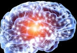 franceinfo junior. Comment fonctionne notre cerveau ?