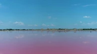 Salins du Midi : un marais où l'on voit la vie en rose