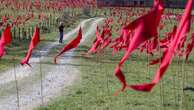 Plus de 16 000 "Drapeaux pour la paix" flottent sur un champ de bataille de la Première Guerre mondiale