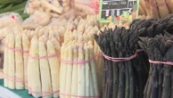 Haute-Gironde : la Fête de l'asperge du Blayais attire les curieux