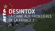 Désintox. China Daily plagie une vidéo d'une artiste suisse pour une campagne touristique