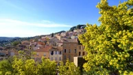 Bormes-les-Mimosas, dans le Var, a été élu "Village préféré des Français 2026"