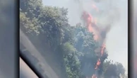 SNCF : un incendie près des lignes TGV Sud-Est perturbe le trafic entre Paris et la Méditerranée, des milliers de passagers concernés