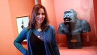 La primatologue Shelly Masi raconte sa vie parmi les gorilles, une "société démocratique"