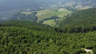 Haut-Rhin : à la découverte du Val d’Argent