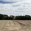 "Comme si on avait donné un coup de chalumeau" : en Loire-Atlantique, les cultures des viticulteurs et des maraîchers déjà grillées par la canicule