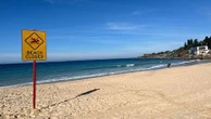 En Australie, une nageuse se trouve dans un état critique après avoir été mordue par un requin