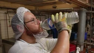 Les entreprises tournent au ralenti à cause de la canicule
