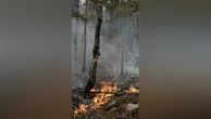 Un pompier volontaire reconnaît allumé un feu à Fontainebleau