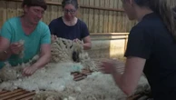 En Auvergne, des éleveurs de moutons valorisent la laine locale en fabriquant des marmites norvégiennes
