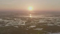 Anguille en persillade, chênes fossilisés… Les richesses du marais de la grande Brière