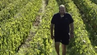 Des vignes à la cave, les vignobles sous haute surveillance