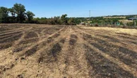 Canicules, sécheresse, incendies... "Le moral est au plus bas dans les exploitations françaises", alerte la FNSEA