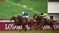 Passion ou investissement ? Pourquoi autant de sportifs, comme Antoine Griezmann ou Tony Parker, s'intéressent aux courses hippiques