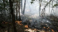 Une enquête ouverte, aucune piste écartée après l'incendie en forêt de Fontainebleau