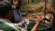 Cocaïne : des laboratoires clandestins à la guerre entre policiers et FARC, immersion aux racines du marché en Colombie