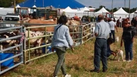 Sarthe : un concert géant dans un village de 74 habitants à l'occasion des comices agricoles