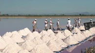 "Ça représente un petit peu notre ville et notre région" : la récolte de la fleur de sel attire les foules à Aigues-mortes
