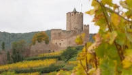 Alsace : sur la piste des vignobles en automne