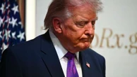 Guerre au Moyen-Orient : comment expliquer le revirement de Donald Trump, qui renonce à une nouvelle attaque contre l'Iran ?