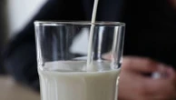 Alimentation : un laboratoire produit du lait de vache… sans vache