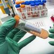 "Hantavirus, la semaine de tous les dangers" : regardez le documentaire de franceinfo consacré aux derniers développements autour du virus des Andes