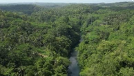 Indonésie : à la découverte des beautés naturelles du Canyon Vert