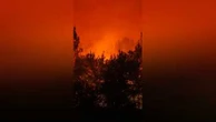 Incendie en Gironde : 2 000 hectares brûlés et 12 000 personnes évacuées
