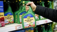 Loi d'urgence agricole : pourquoi la probable réautorisation de l'acétamipride, pesticide interdit en France, divise agriculteurs et scientifiques