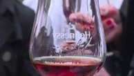 Droits de douane : "Le match n'est pas plié", assure une productrice de vin, bien déterminée comme ses confrères à ce que la France s'empare du dossier