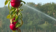 Canicule en France : les conséquences des vagues de chaleur sur l'économie du pays