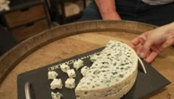 Gastronomie : le roquefort, une AOP de caractère depuis 100 ans