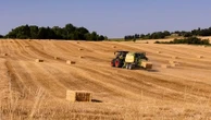 "Nous sommes en train de vivre une catastrophe agricole majeure" : comment la canicule fragilise les agriculteurs et les éleveurs français