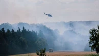 Dégâts sur la biodiversité, destruction de puits de carbone... Ces autres conséquences des incendies qui fragilisent les écosystèmes