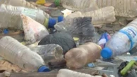 Bouteilles plastiques : pourquoi sont-elles si peu recyclées ?