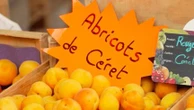 Le charme et les bons produits du marché de Céret, au cœur de la Catalogne française
