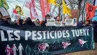 Loi d'urgence agricole : "On va vers une catastrophe à toute vitesse", s'alarme France Nature Environnement