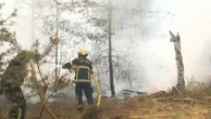 Incendies de Fontainebleau : pourquoi les reprises sont encore nombreuses dans la forêt, bien que le feu soit fixé