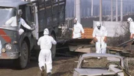 En Italie il y a 50 ans, la catastrophe de Seveso provoquait un "tournant dans la conscience écologique européenne"