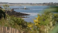 Finistère : deux ans après la tempête Ciaran, l'île de Batz et son jardin botanique renaissent pour le bonheur des visiteurs