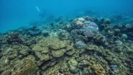 Mission "Daunpapua" : une expédition française lancée pour mieux connaître les grands fonds marins du Pacifique