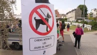 Côtes-d'Armor : les chiens et leurs maîtres interdits de marché à Saint-Quay-Portrieux