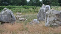 Inscription des Mégalithes de Carnac au patrimoine mondial de l'Unesco : "Une étape historique pour notre patrimoine culturel", se réjouit le maire Olivier Lepick