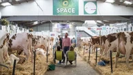 "Toutes les laiteries sont en demande" : au Salon international de l'élevage, l'inquiétude autour des importations de lait