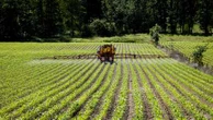 Stockage de l'eau, réintroduction de pesticides, protection des loups... Voici ce que contient le projet de loi d'urgence agricole adopté à l'Assemblée nationale