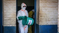 L'épidémie d'Ebola risque de s'étendre à dix nouveaux pays africains, selon les autorités sanitaires régionales