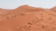 Namibie : sur les dunes du plus vieux désert de la planète